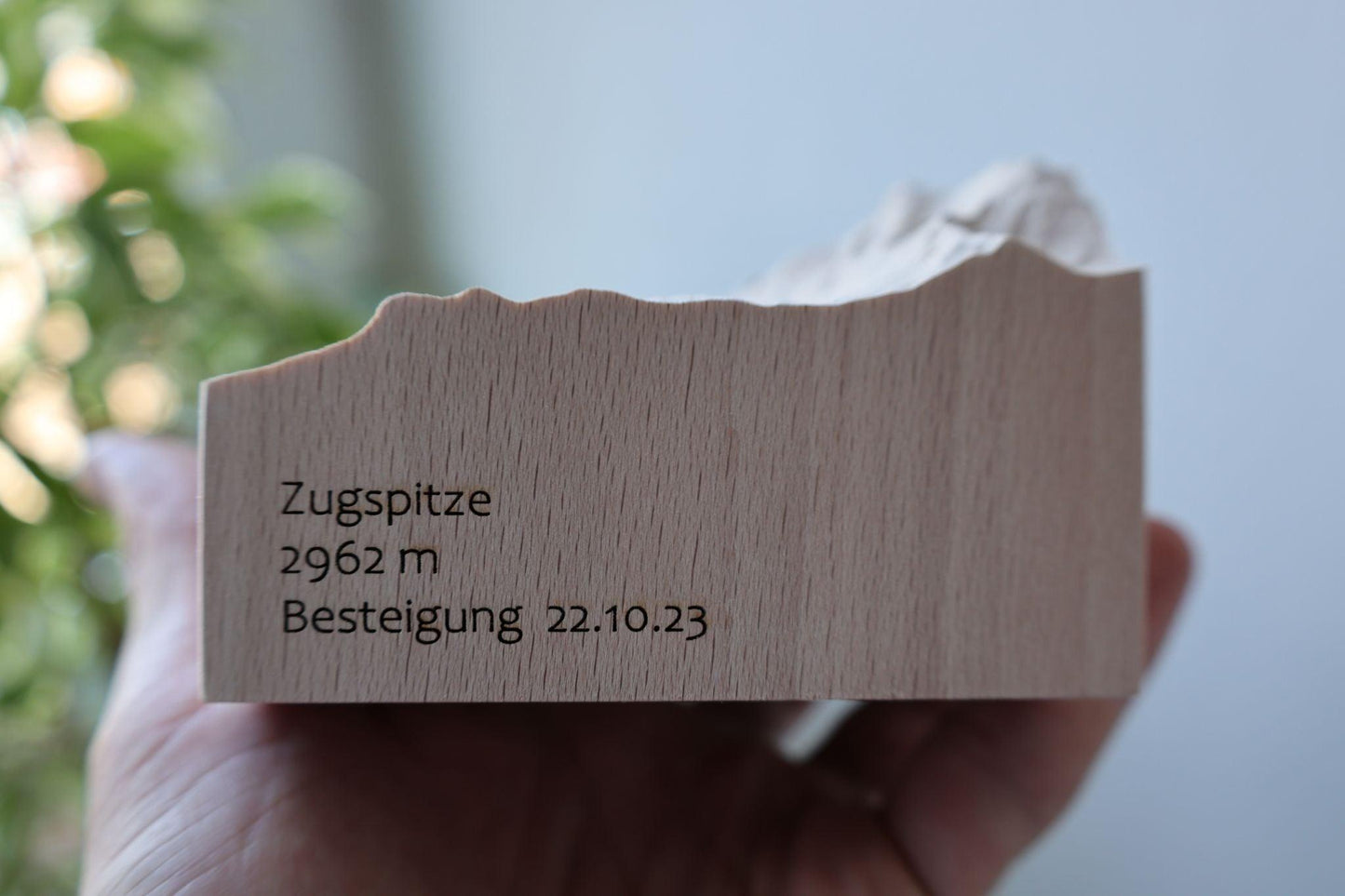 CUBES - Alpen Relief - TreeDimension