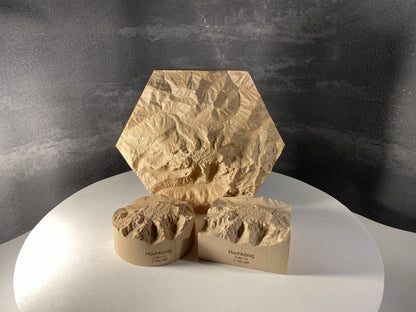 SUMMIT – Bergrelief Hochkönig - TreeDimension