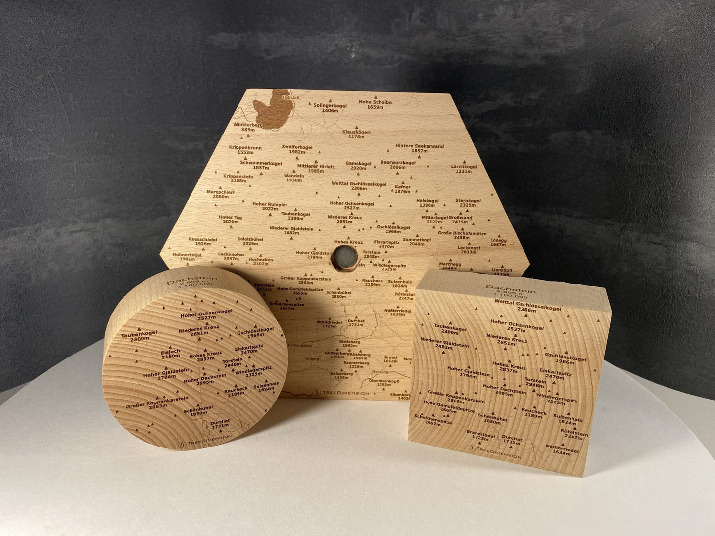 SUMMIT – Bergrelief Hoher Dachstein - TreeDimension