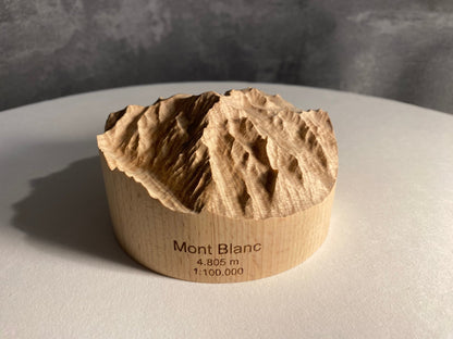 SUMMIT - Bergrelief Mont Blanc - TreeDimension