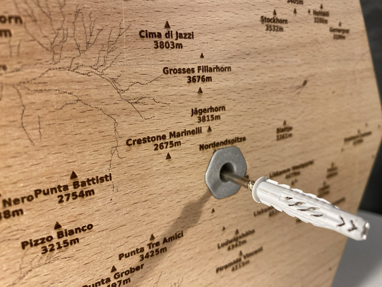 SUMMIT - Bergrelief Monte Rosa (Dufourspitze) - TreeDimension