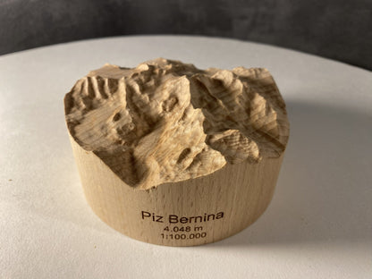 SUMMIT – Bergrelief Piz Bernina - TreeDimension