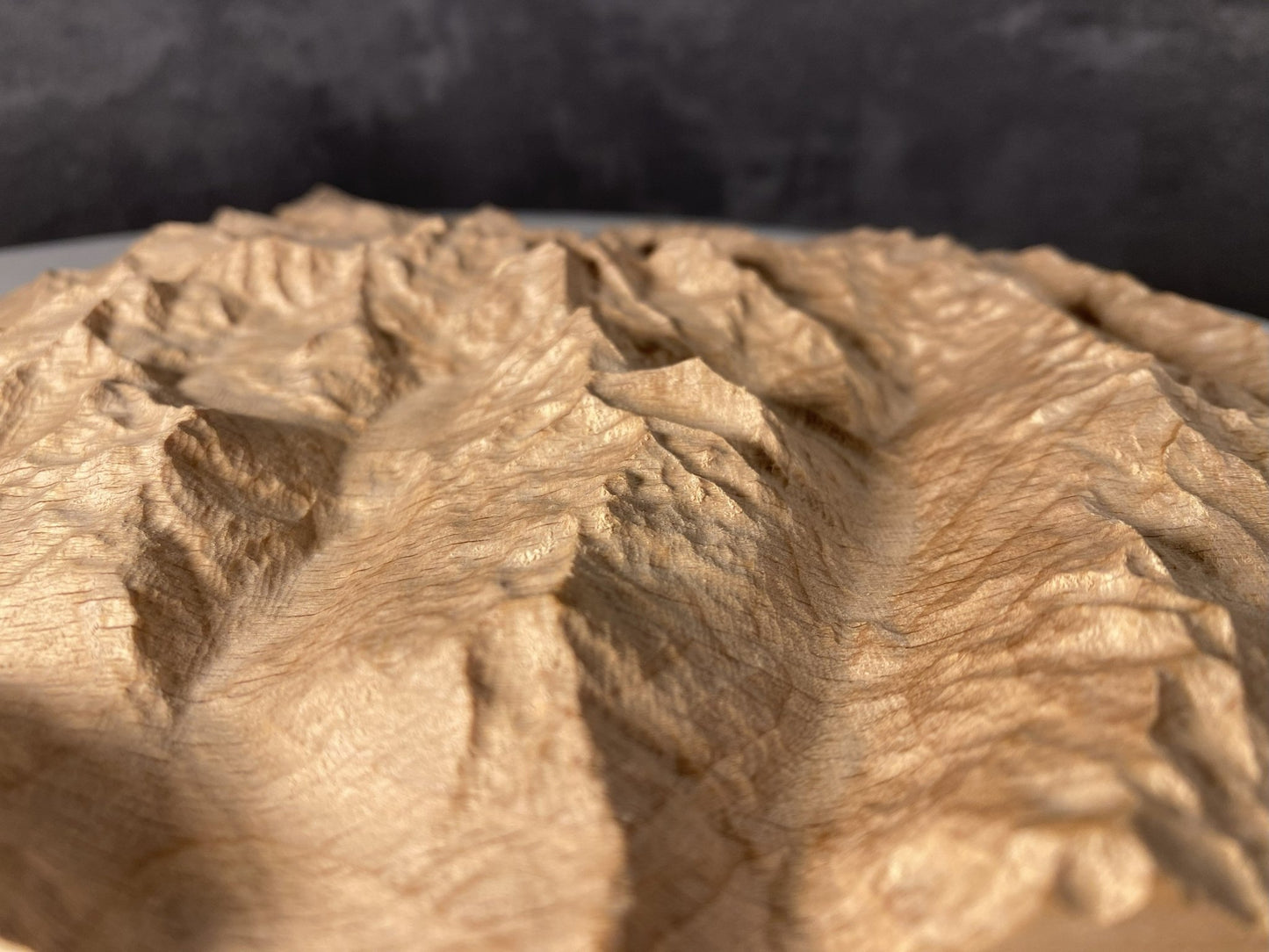 SUMMIT – Bergrelief Piz Bernina - TreeDimension