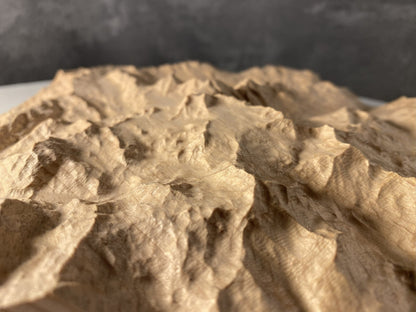 SUMMIT – Bergrelief Piz Bernina - TreeDimension