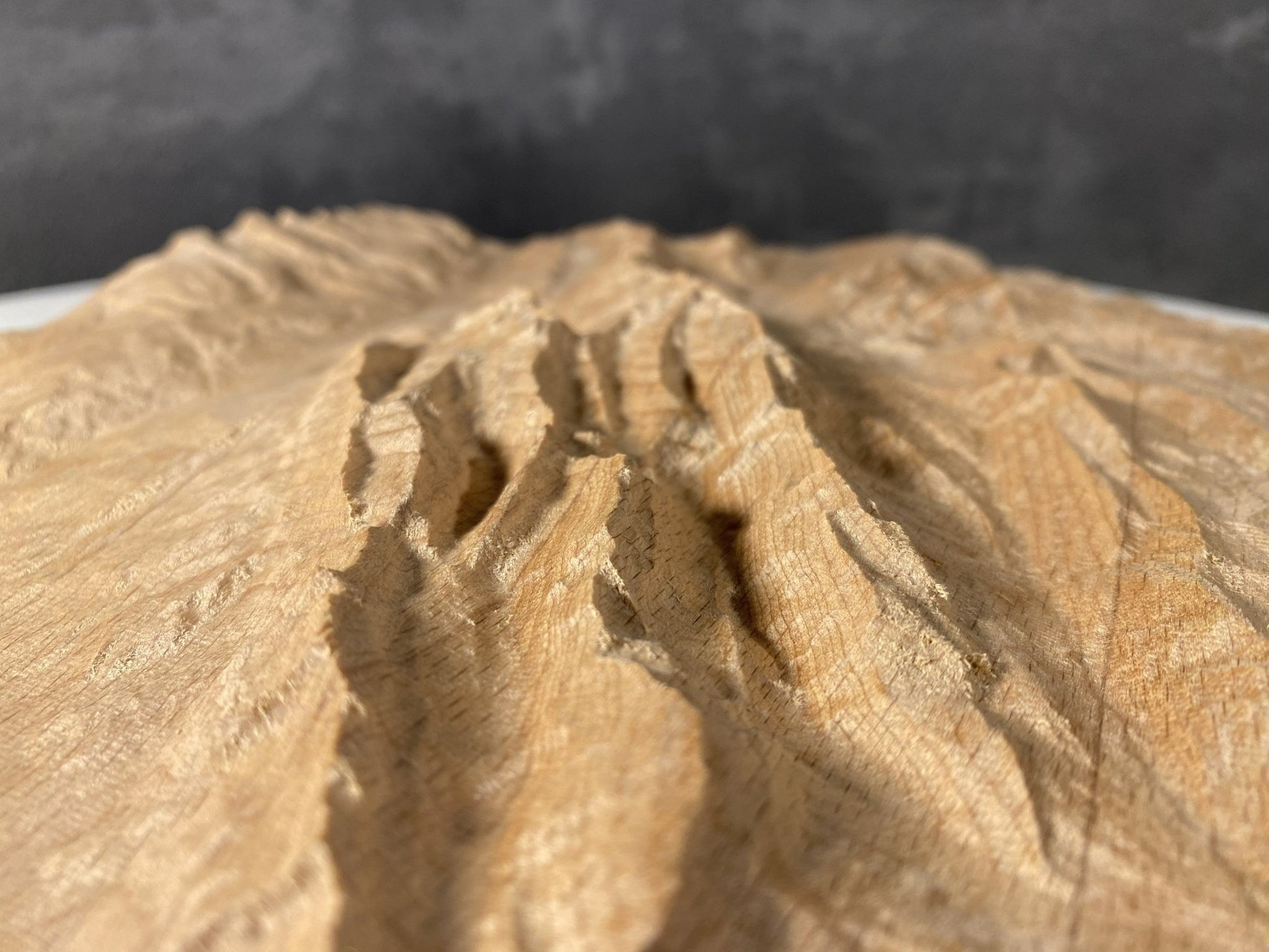 SUMMIT – Bergrelief Säntis - TreeDimension